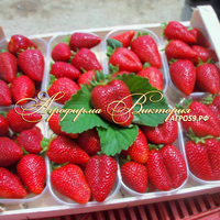 Клубника КАБРИЛЛО (КРУПНОМЕР! ОГРОМНЫЙ КУСТ, УРОЖАЙ В ГОД ПОСАДКИ) Клубника КАБРИЛЛО (КРУПНОМЕР! ОГРОМНЫЙ КУСТ, УРОЖАЙ В ГОД ПОСАДКИ)